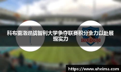 世俱杯官方用球